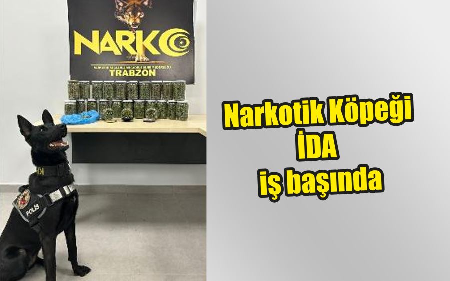 Narkotik köpeği 