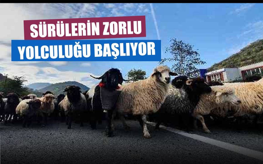 Sürülerin zorlu göç yolcuğu başladı