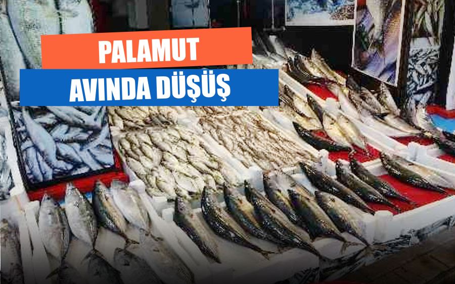 Palamut avında düşüş