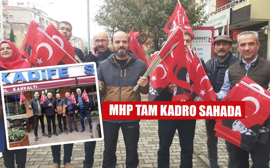 MHP TAM KADRO SAHADA