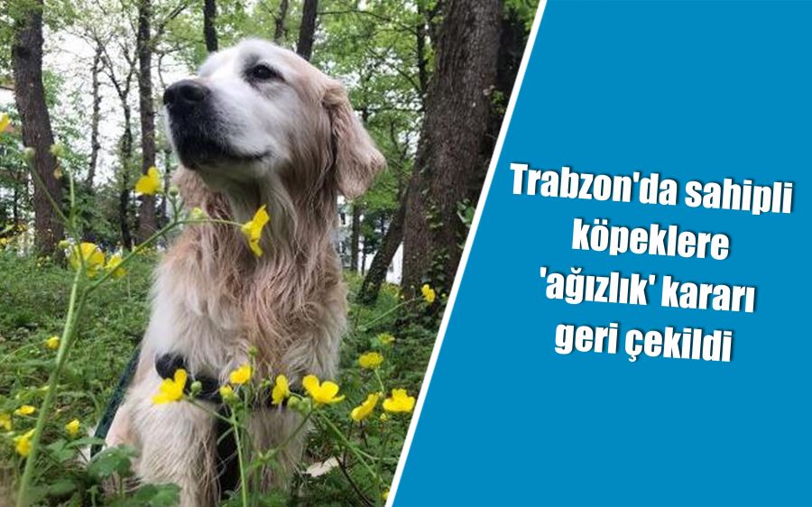 Trabzon