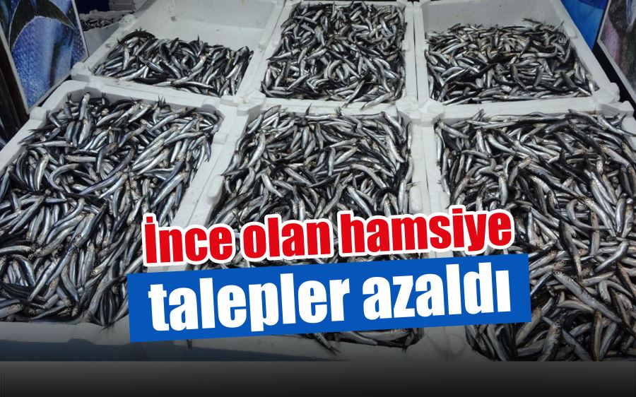 Fiyatının artması ve ince olması hamsiye olan talebi azalttı