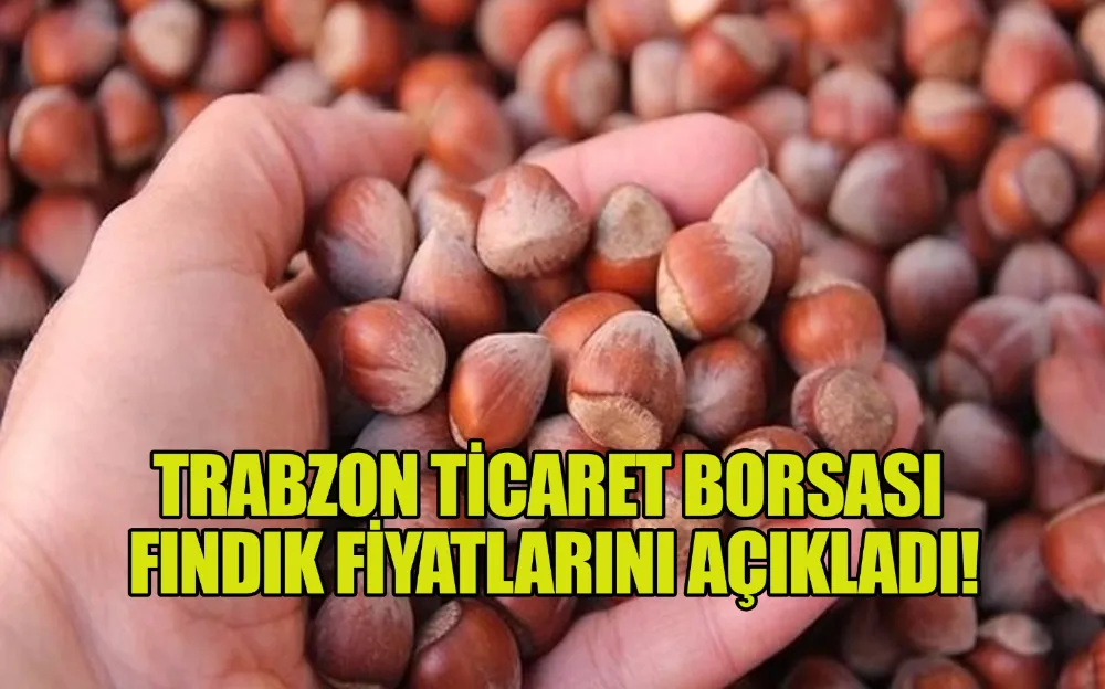 Trabzon Ticaret Borsası Fındık Fiyatlarını Açıkladı!