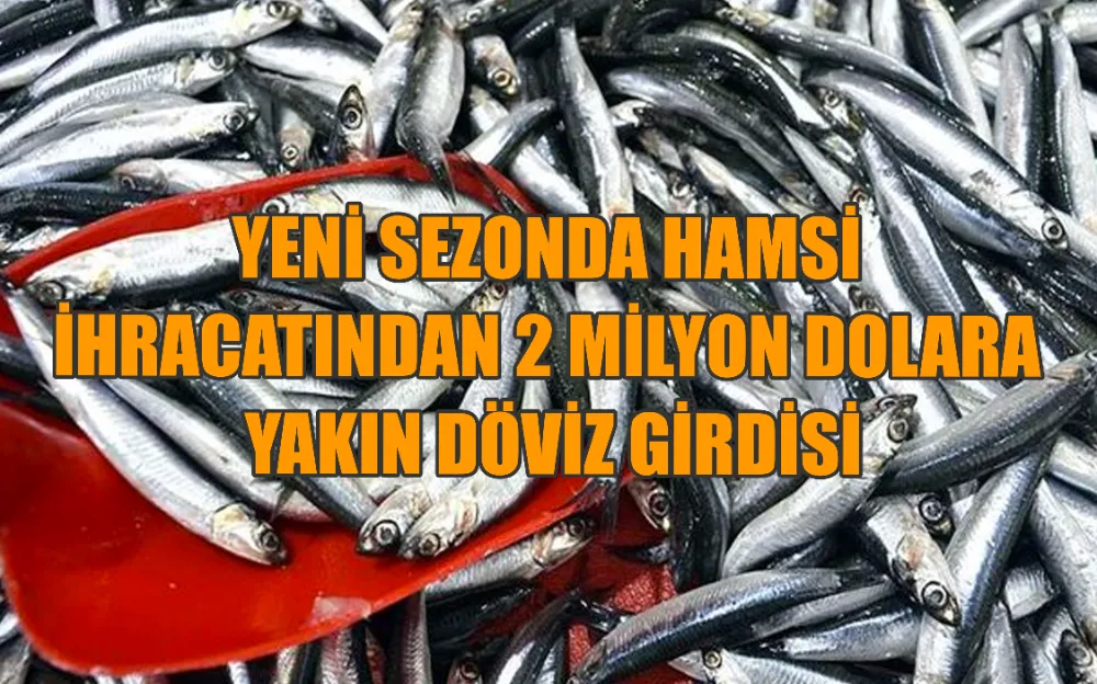 YENİ SEZONDA HAMSİ İHRACATINDAN 2 MİLYON DOLARA YAKIN DÖVİZ GİRDİSİ