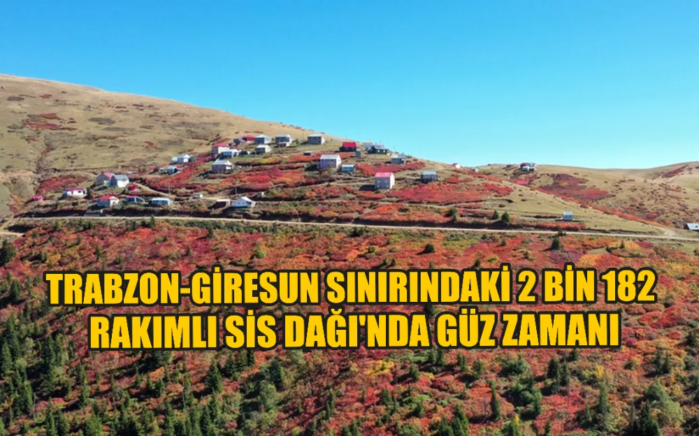 Trabzon-Giresun sınırındaki 2 bin 182 rakımlı Sis Dağı