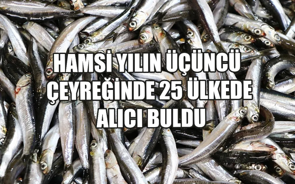 Hamsi yılın üçüncü çeyreğinde 25 ülkede alıcı buldu