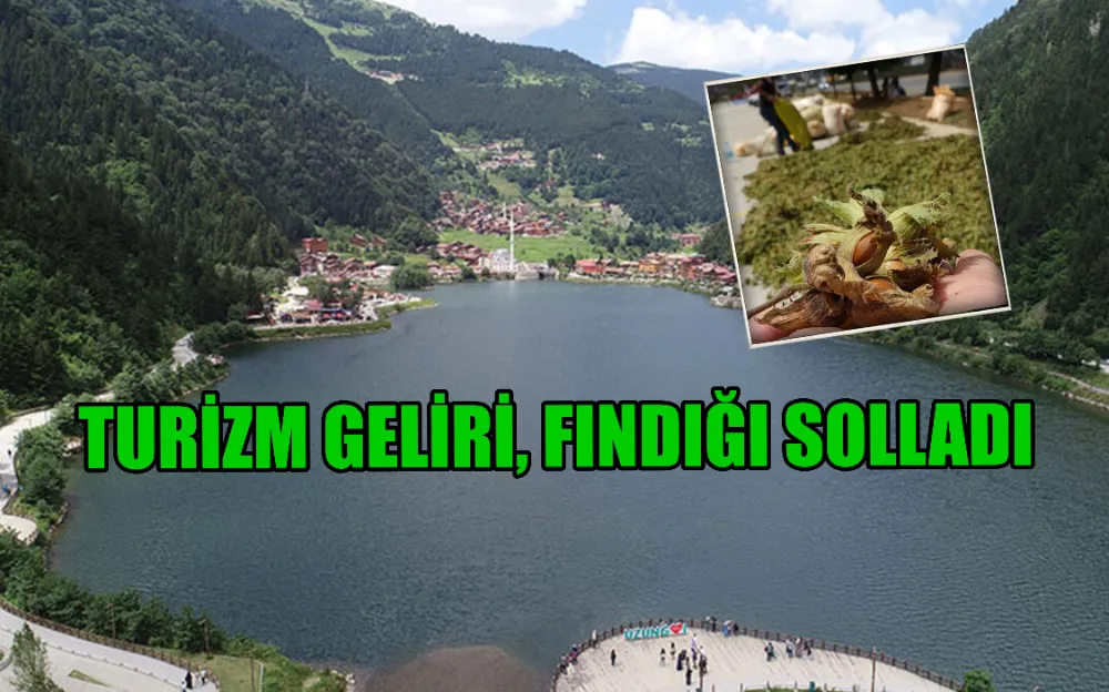 TURİZM GELİRİ, FINDIĞI SOLLADI