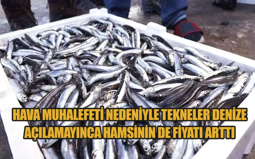 HAVA MUHALEFETİ NEDENİYLE TEKNELER DENİZE AÇILAMAYINCA HAMSİNİN DE FİYATI ARTTI