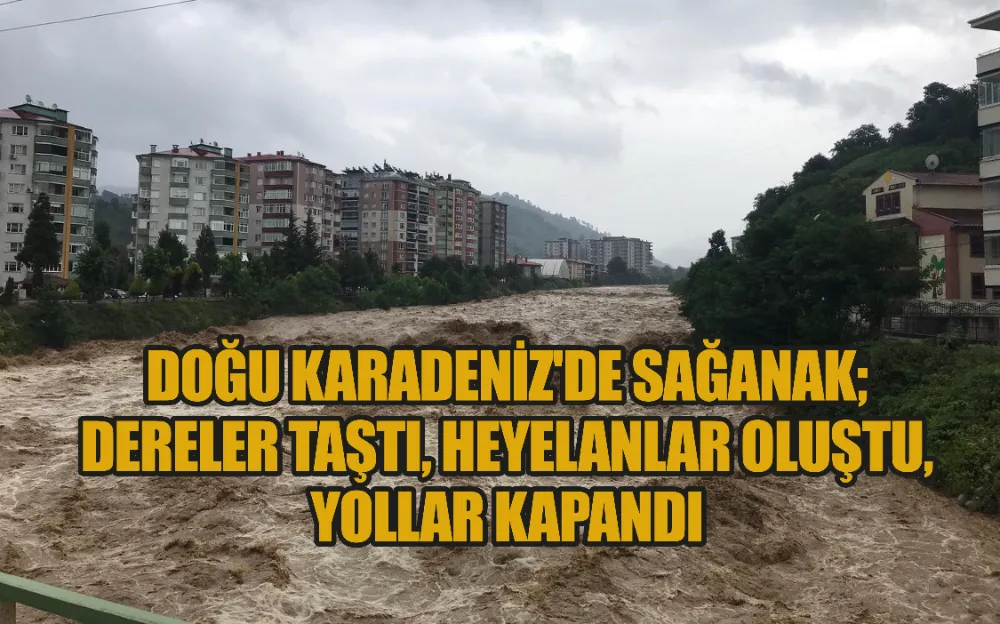 DOĞU KARADENİZ