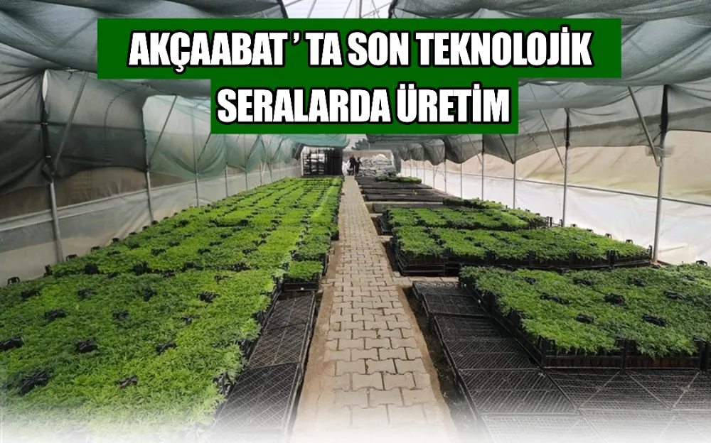 AKÇAABAT