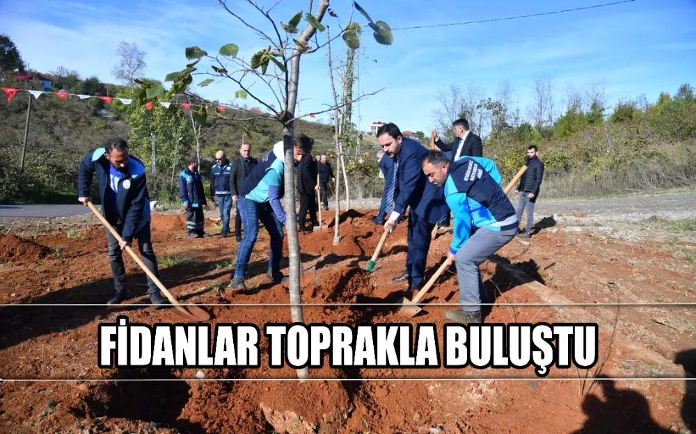 FİDANLAR TOPRAKLA BULUŞTU