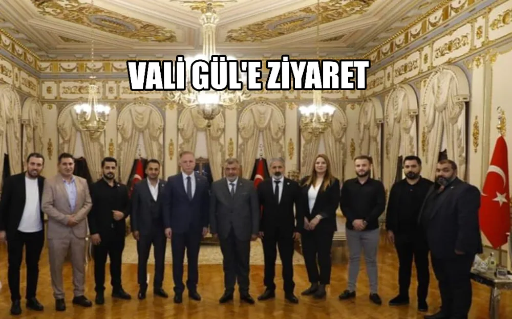 VALİ GÜL