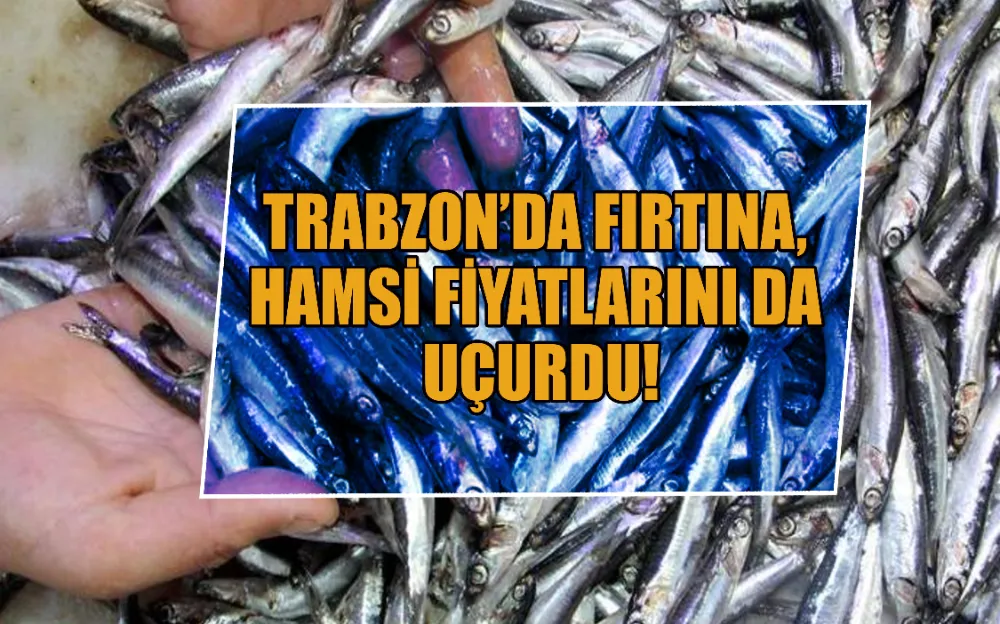 TRABZON’DA FIRTINA, HAMSİ FİYATLARINI DA UÇURDU!