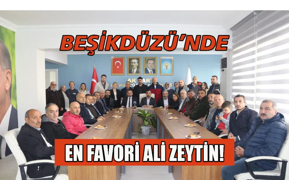 BEŞİKDÜZÜ