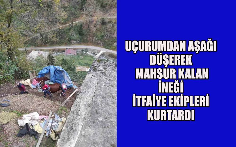 UÇURUMDAN AŞAĞI DÜŞEREK MAHSUR KALAN İNEĞİ İTFAİYE EKİPLERİ KURTARDI