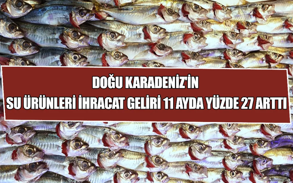 DOĞU KARADENIZ