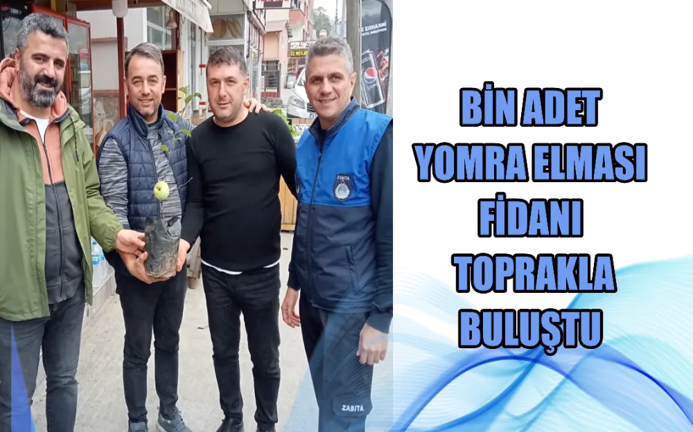 BİN ADET YOMRA ELMASI FİDANI TOPRAKLA BULUŞTU