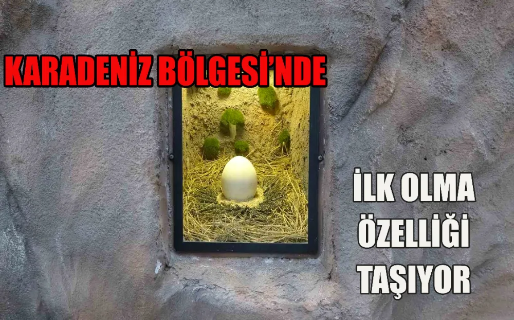 KARADENİZ BÖLGESİ’NDE İLK OLMA ÖZELLİĞİ TAŞIYOR