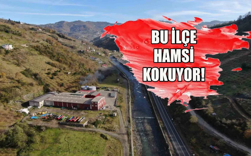 BU İLÇE HAMSİ KOKUYOR!