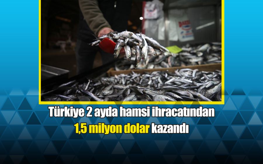 Türkiye 2 ayda hamsi ihracatından 1,5 milyon dolar kazandı