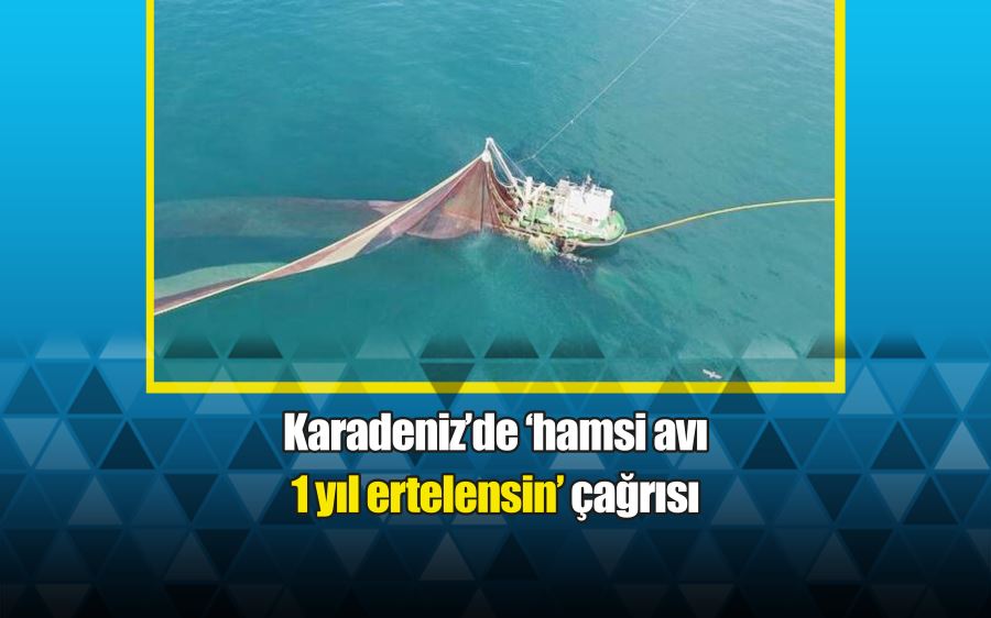 Karadeniz’de ‘hamsi avı 1 yıl ertelensin’ çağrısı