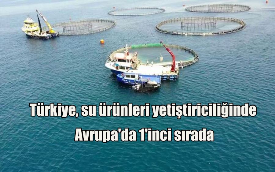 Türkiye, su ürünleri yetiştiriciliğinde Avrupa