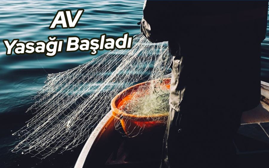 Av yasağı başladı