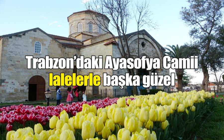 Trabzon’daki Ayasofya Camii lalelerle başka güzel