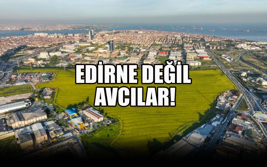 EDİRNE DEĞİL AVCILAR!