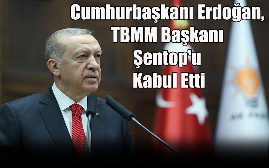 Cumhurbaşkanı Erdoğan,  TBMM Başkanı  Şentop