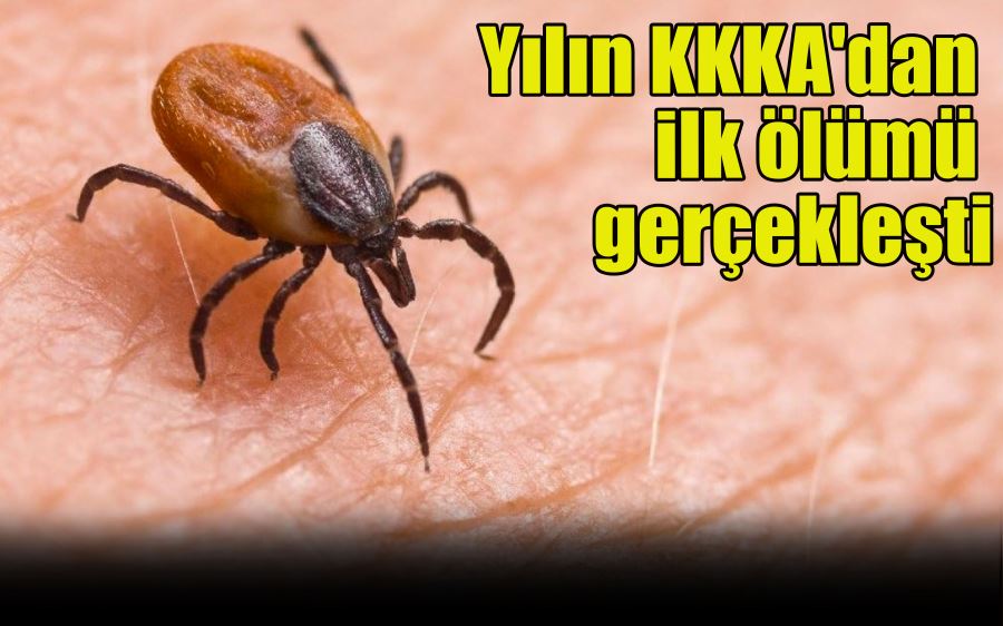 Yılın KKKA