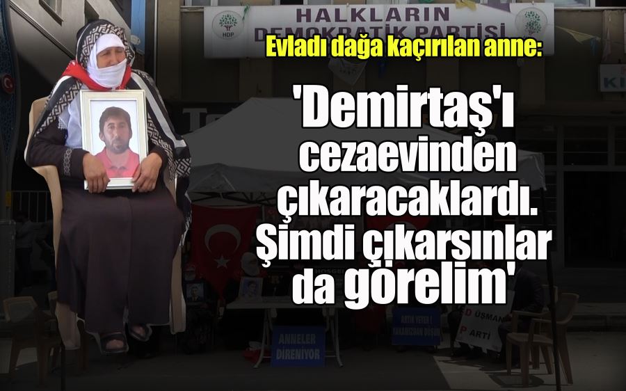 Evladı dağa kaçırılan anne: 