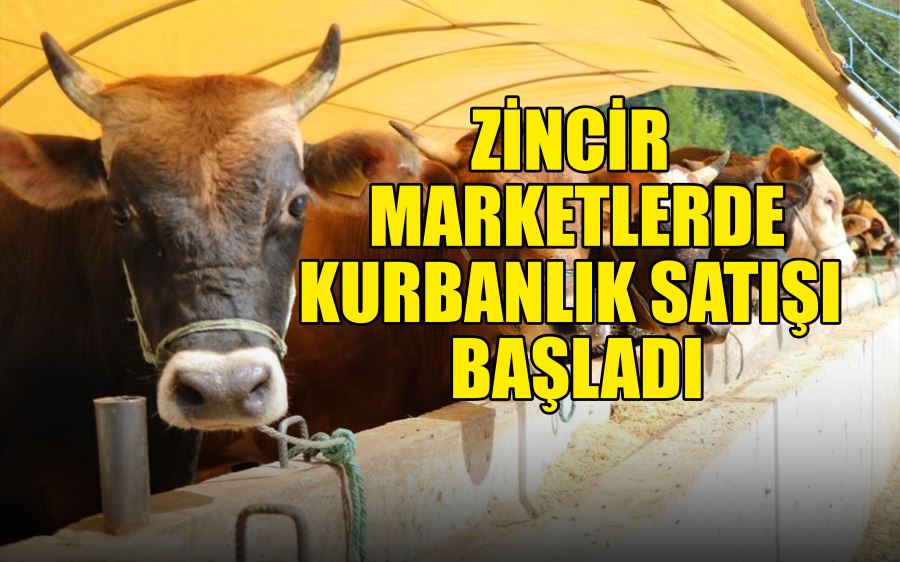 ZİNCİR MARKETLERDE KURBANLIK SATIŞI BAŞLADI