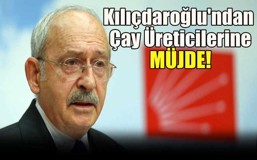 Fındığa 4 dolar veren Kılıçdaroğlu