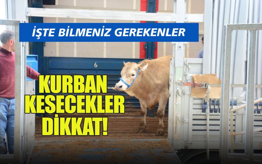 KURBAN KESECEKLER DİKKAT!