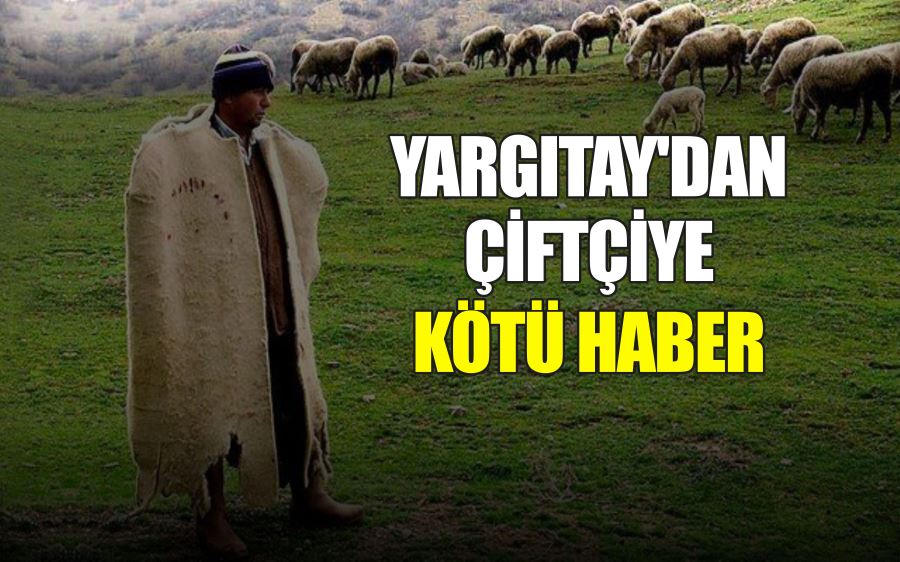 YARGITAY