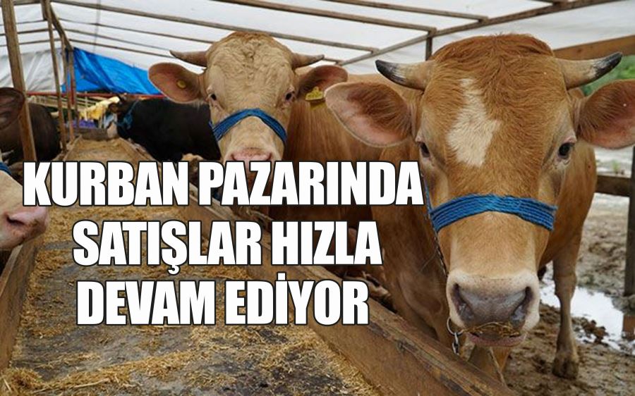 KURBAN PAZARINDA  SATIŞLAR HIZLA  DEVAM EDİYOR