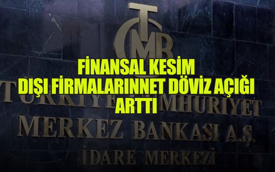 FİNANSAL KESİM  DIŞI FİRMALARINNET DÖVİZ AÇIĞI ARTTI