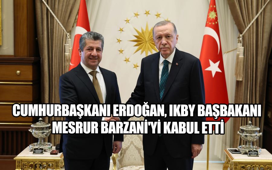 Cumhurbaşkanı Erdoğan, IKBY Başbakanı Mesrur Barzani