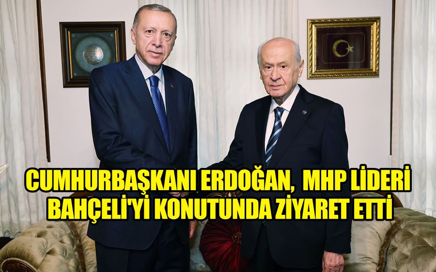 Cumhurbaşkanı Erdoğan, MHP Lideri Bahçeli