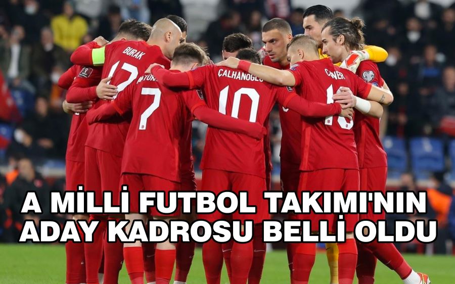 A Milli Futbol Takımı