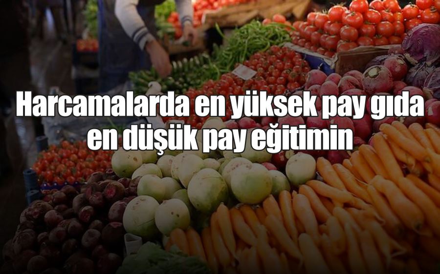 Harcamalarda en yüksek  pay gıda en düşük pay eğitimin