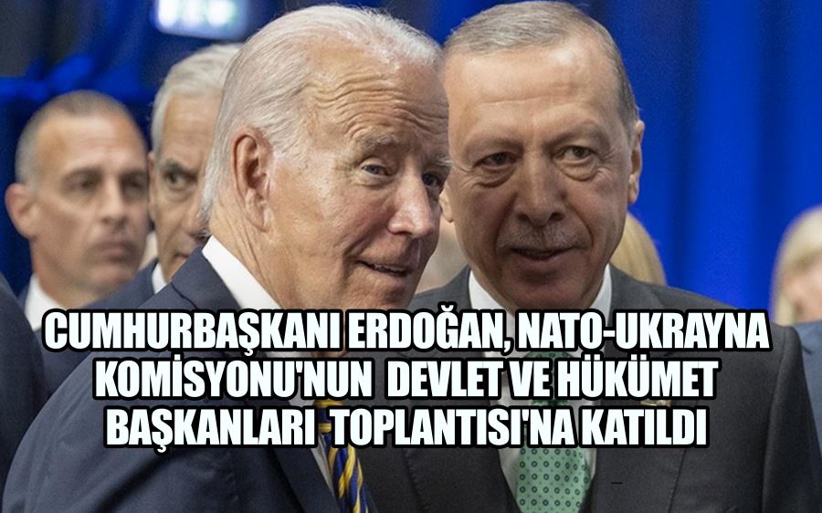 CUMHURBAŞKANI ERDOĞAN, NATO-UKRAYNA KOMİSYONU