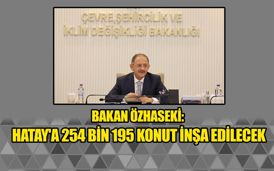 Bakan Özhaseki: Hatay