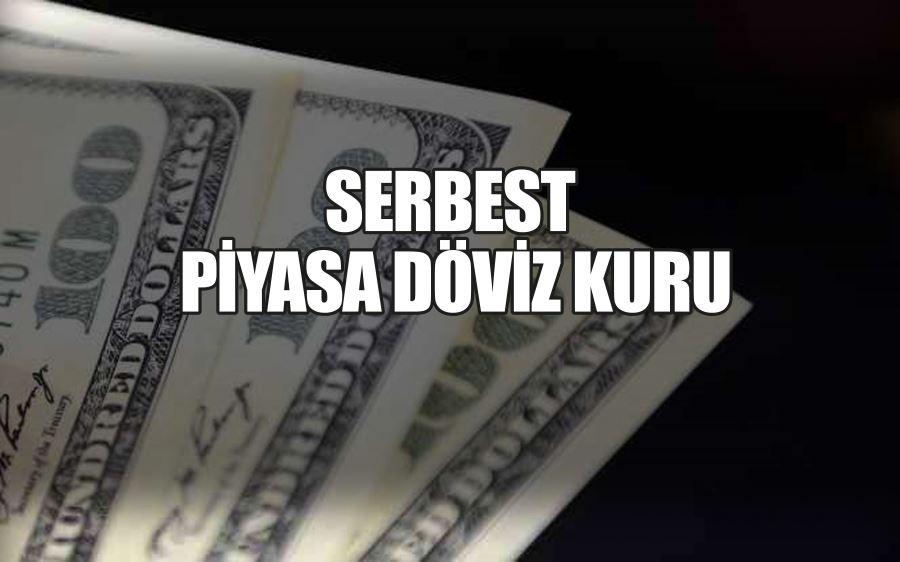 SERBEST  PİYASA DÖVİZ KURU