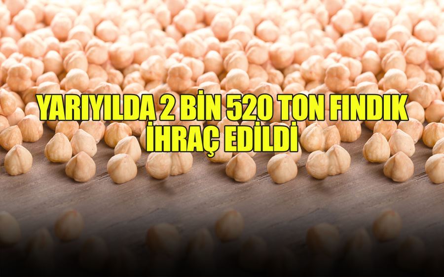 YARIYILDA 2 BİN 520 TON FINDIK İHRAÇ EDİLDİ