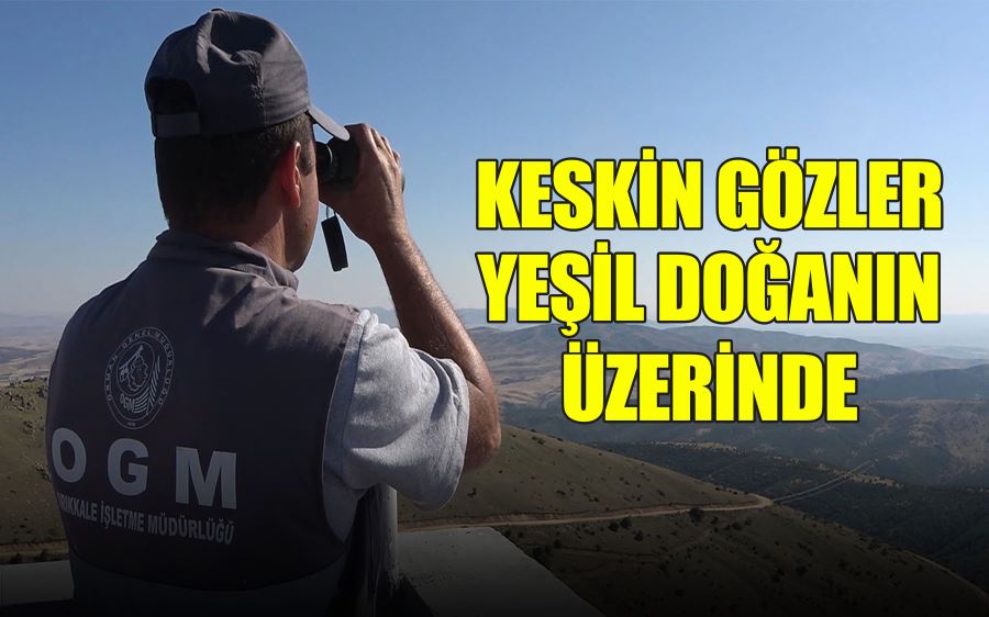 KESKİN GÖZLER YEŞİL DOĞANIN ÜZERİNDE