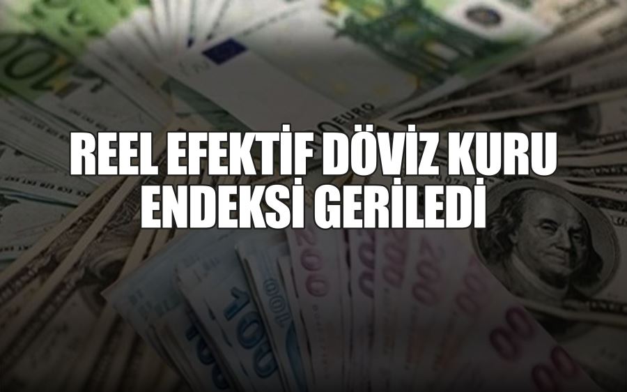 REEL EFEKTİF DÖVİZ KURU ENDEKSİ GERİLEDİ