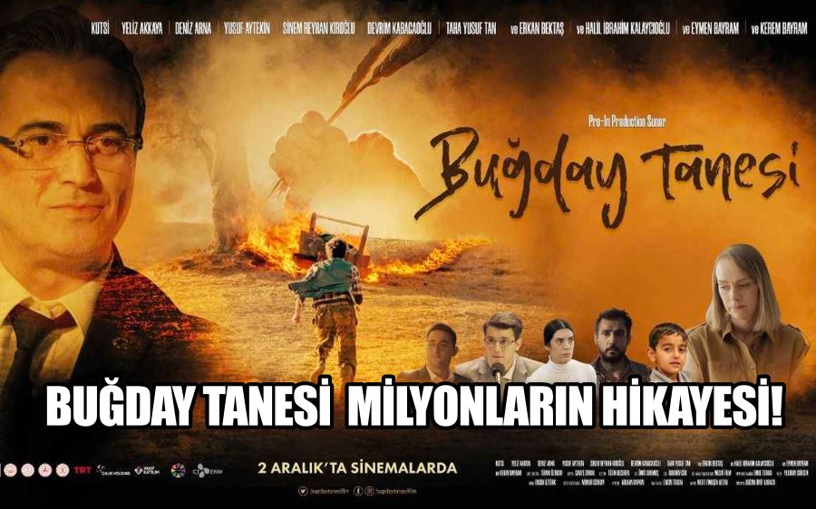 BUĞDAY TANESİ  MİLYONLARIN HİKAYESİ!