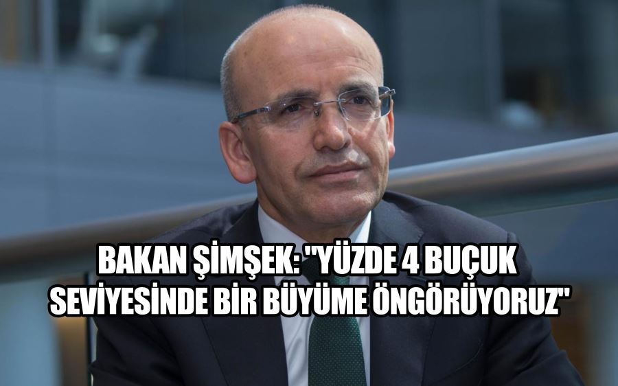 Bakan Şimşek: 